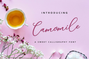 Camomile Script: Where Calligraphy Meets Digital Sophistication