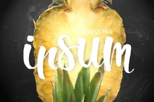 Ipsum Script: A Modern Brush Font for Creative Projects