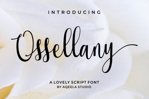 Modern Calligraphy with Edge: Using Ossellany Script