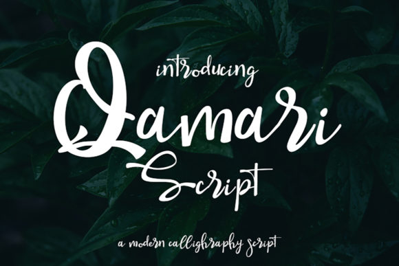 Qamari Script: A Handwritten Touch for Modern Designs