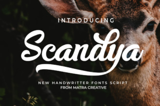 Scandya Script: Your Secret Weapon for Authentic Branding