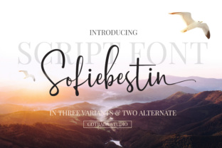 Sofiebestin Script: More Than Just a Pretty Typeface