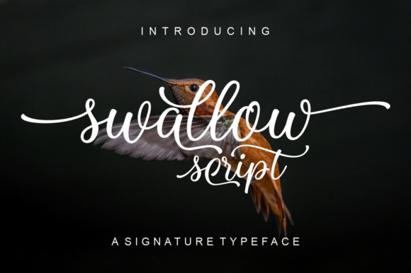 Swallow Script: A Dazzling Addition to Your Font Library