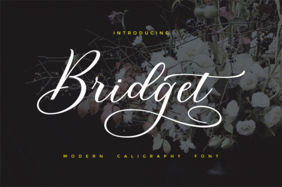 Why Bridget Script is Your Go-To for Elegant, Flowing Designs